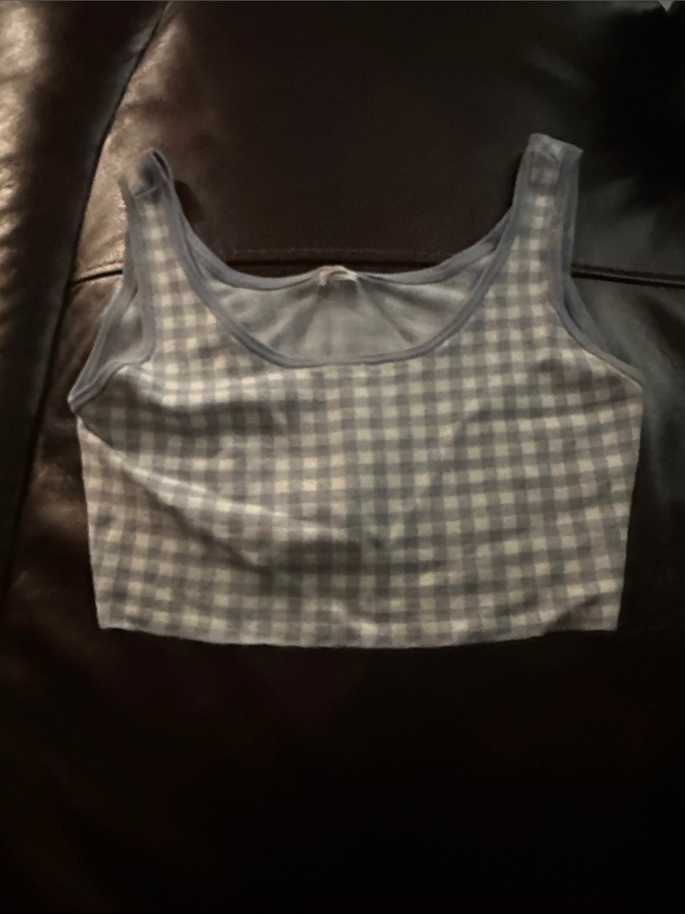 Garage Light Blue Gingham Cropped Tank Top
